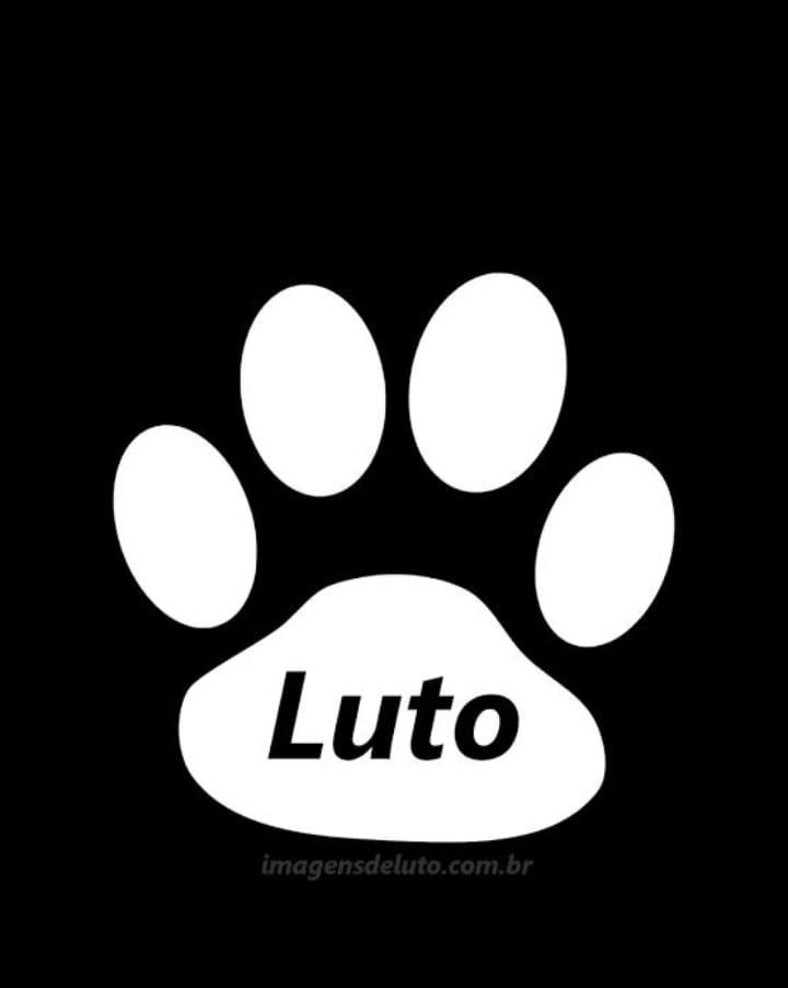 As 12 do Soró - Edição 03 - 02/2023!