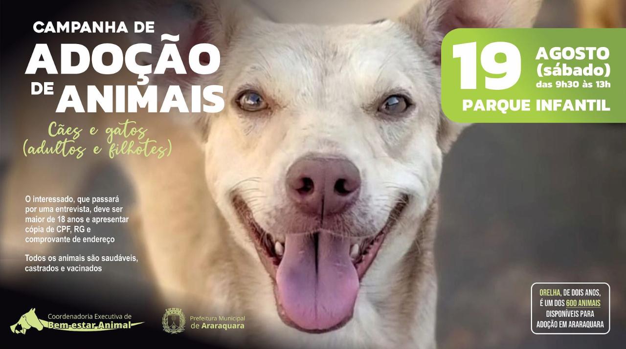 Adoção de Animais 2023 acontece no Parque Infantil em Araraquara!