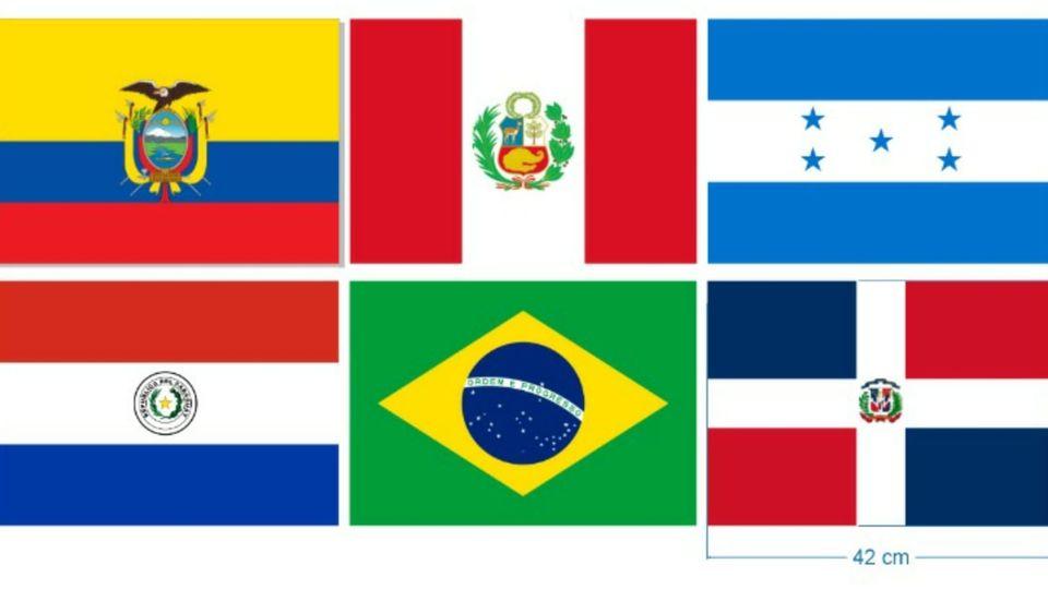 Academia Tomyama de Araraquara recebe Econtro Internacional de Artes Marciais 2024!