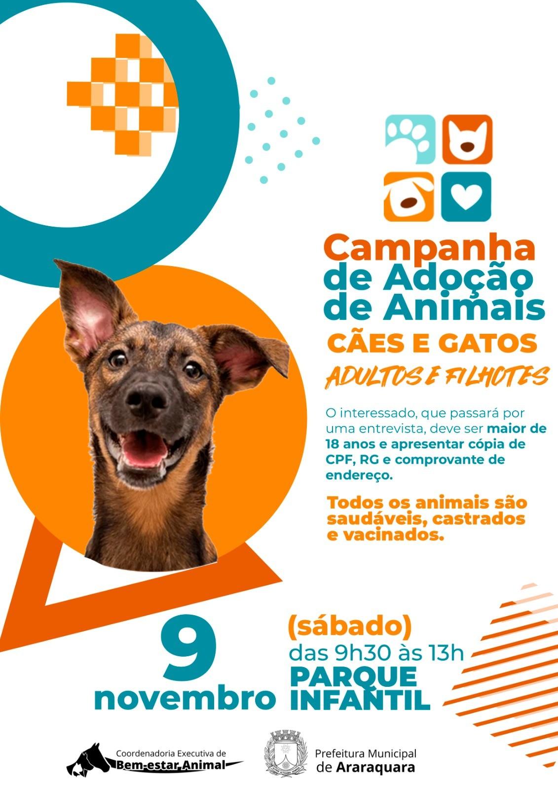 Parque Infantil em Araraquara recebe Campanha de Adoção de Animais 2024!