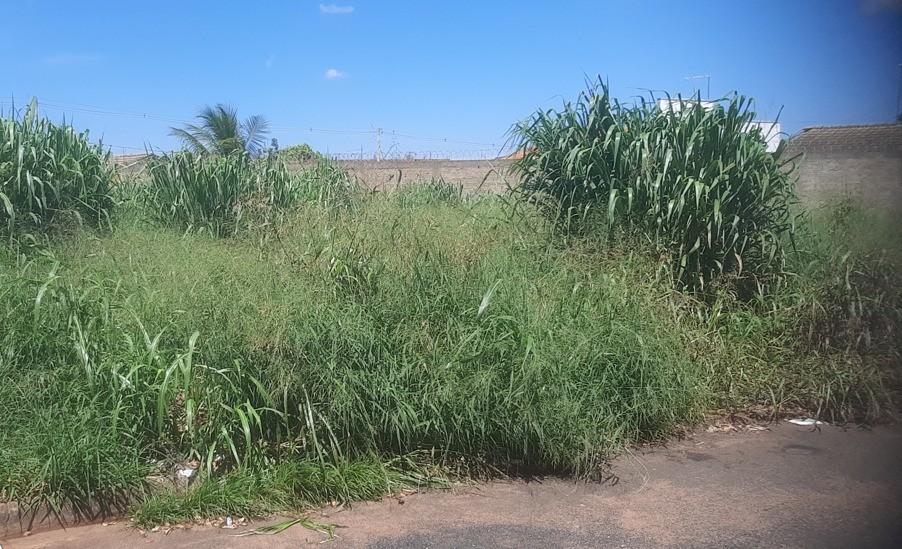 Fiscalização de limpeza em terrenos e calçadas em Araraquara seguem em ritmo acelerado!